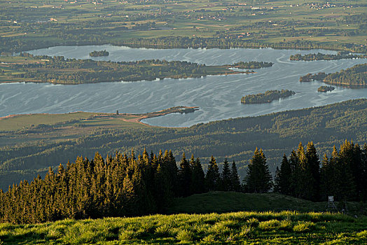 cau bach thu de