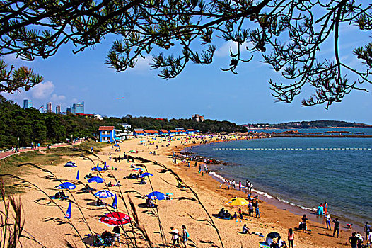 quay thu xo so