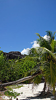 soi cau de bach thu hom nay