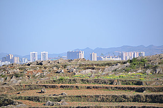 thống kê lô bạch thủ