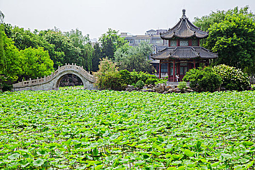 soi cau lo de binh dinh 568