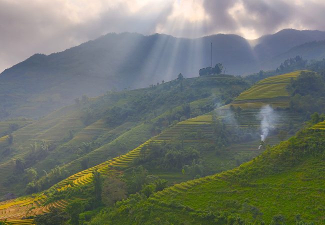 Sapa